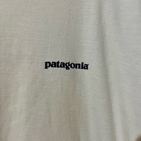 Rare Patagonia Shirt Vintage Collectible Atlantic Salmon Spawning Colors Russia - Picture 3 of 8